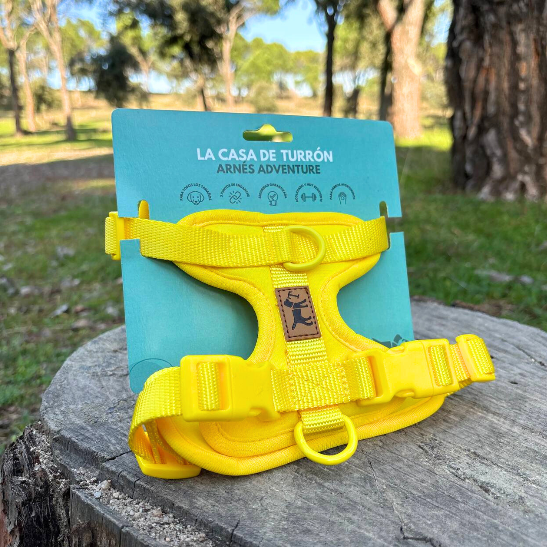 Kit de Paseo Aventure Beach