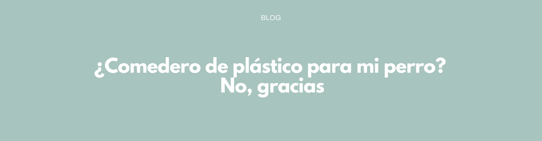 ¿Comedero de plástico para mi perro? No, gracias