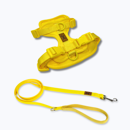 Collar Bariloche