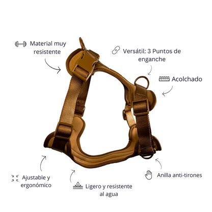 Kit de Paseo Adventure Desert