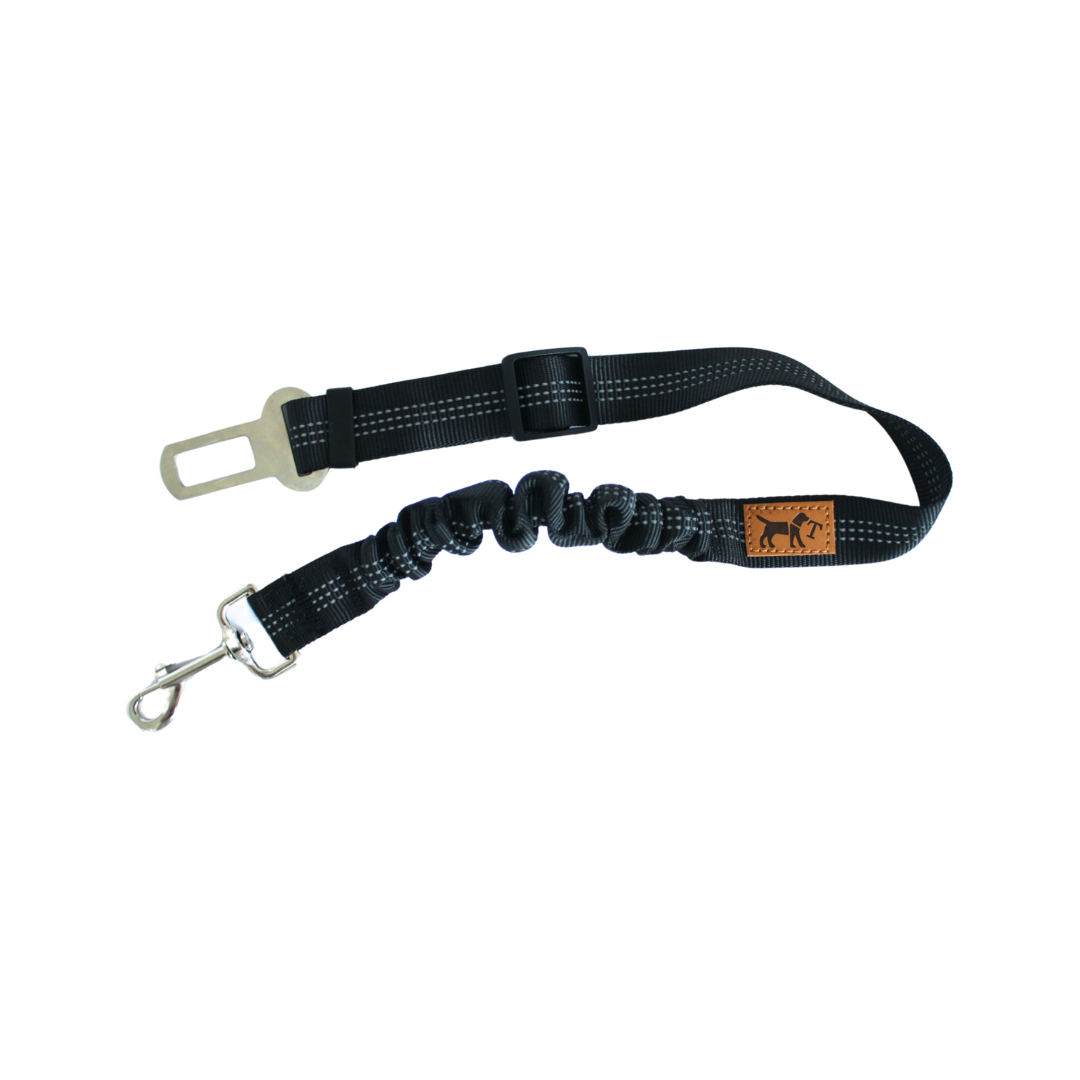 Cinturón de coche para perros