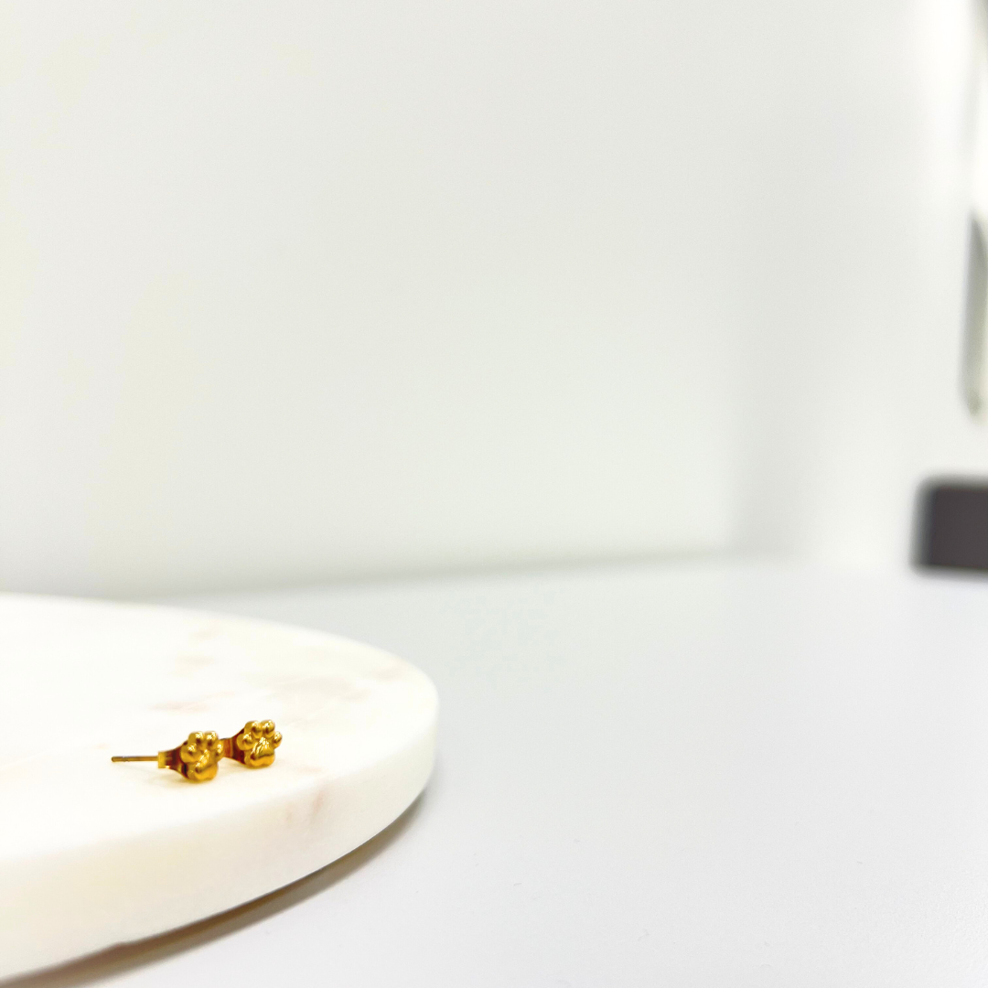 Pendientes Huellitas