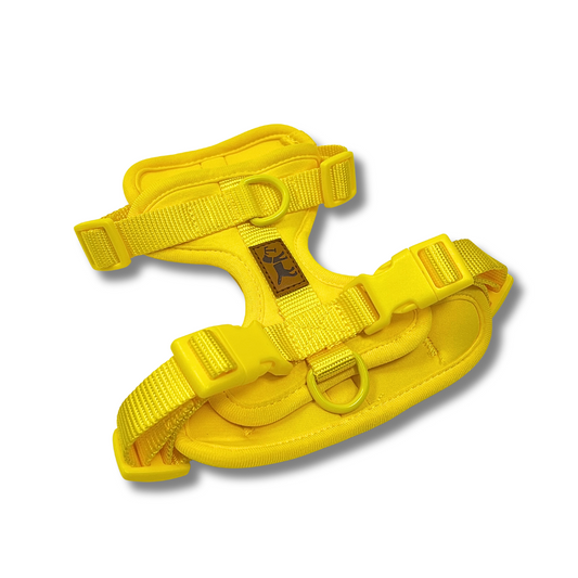 Arnés Adventure Beach