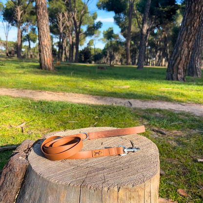 Kit de Paseo Adventure Desert