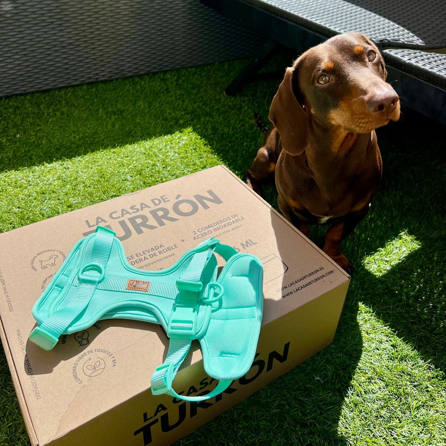 Arnés Adventure Mint