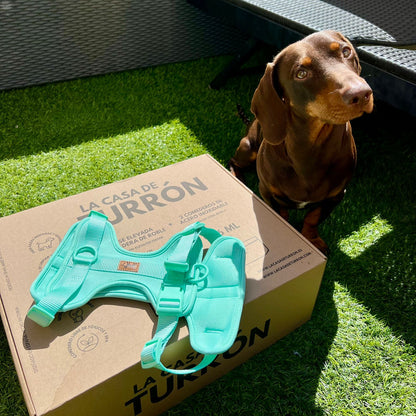 Arnés Adventure Mint