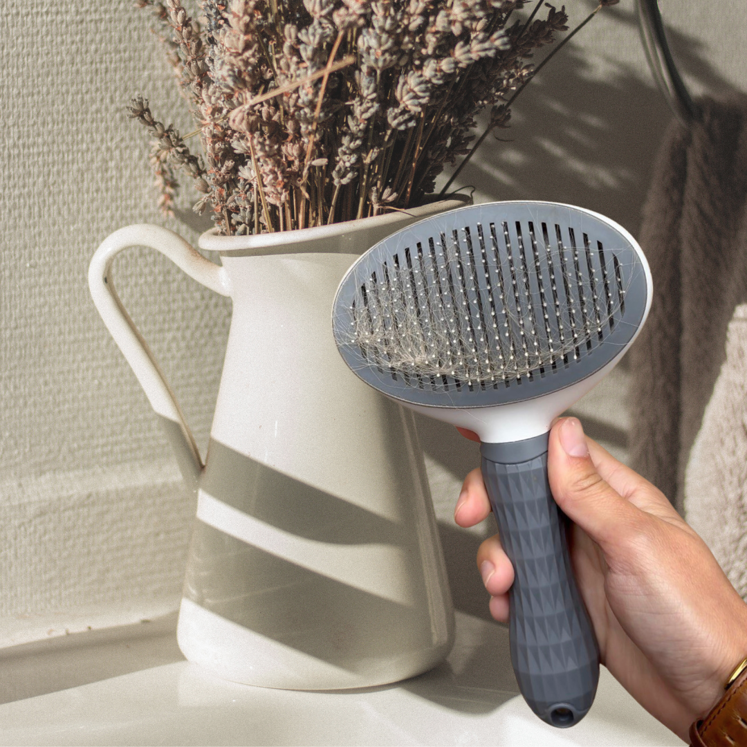 Cepillo con autolimpiado