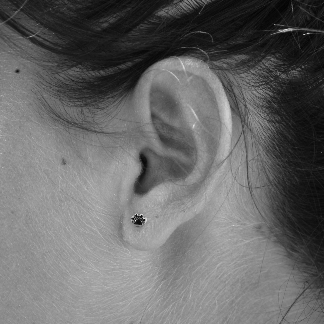 Pendientes Huellitas